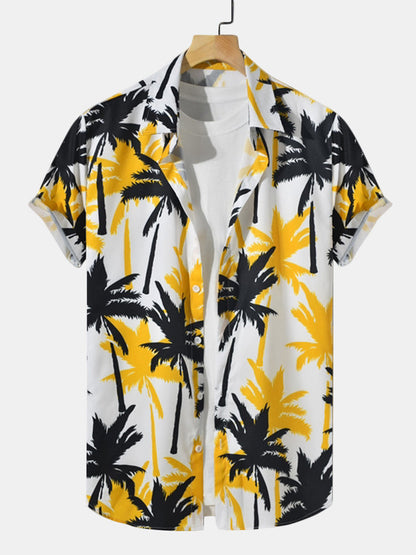 Sunset Palm Set
