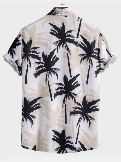 Sunset Palm Set