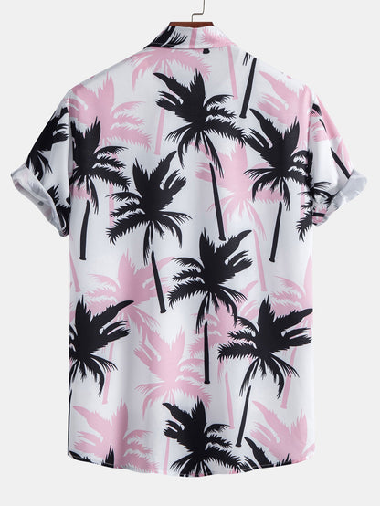 Sunset Palm Set